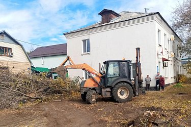 Угрозу от старых деревьев ликвидировали